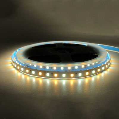 Alta luminosidad 12V 8mm 120leds SMD2835 Led Strip Light con placa CCT de doble cara