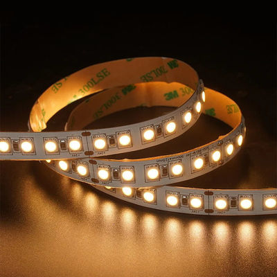 12V 24V Perseguir suave Silicón exterior Smart Light Smd Flexible Led Neon Strip luz 10M