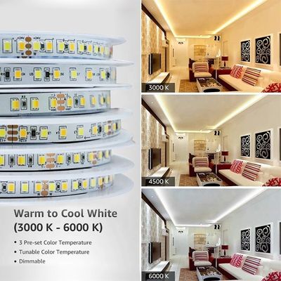 Temperatura de color ajustable Luz de banda LED 120 LED/m Dual color 8MM No resistente al agua