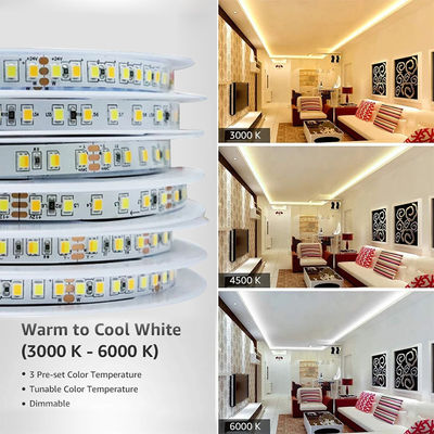 Iluminación de paisaje Alto brillo Smd 2835 140D Led Flexible Light Light CRI Ra 90