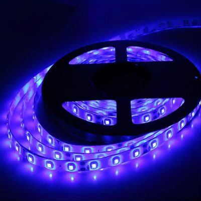 IP20 12V SMD2835 120LED/m Luz de banda LED con CE RoHS Personalizar cantidad de LED