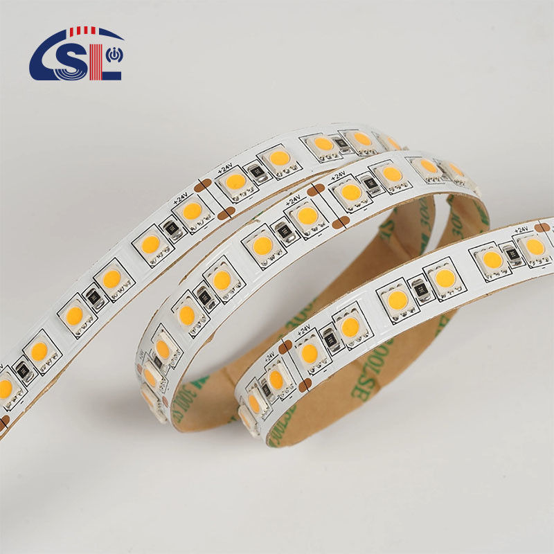 12V 24V Perseguir suave Silicón exterior Smart Light Smd Flexible Led Neon Strip luz 10M