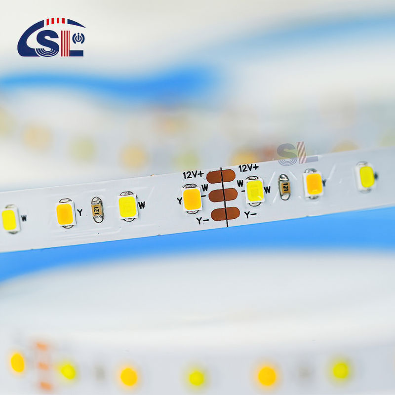 CCT personalizado 12V24V 8mm 120leds 3000K-6500K Blanco-Blanco cálido SMD2835 Luz de banda LED